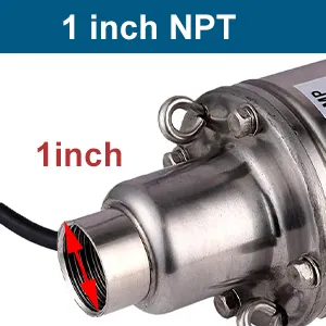 1 inch NPT size