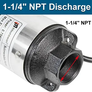 1/4 inch NPT Size