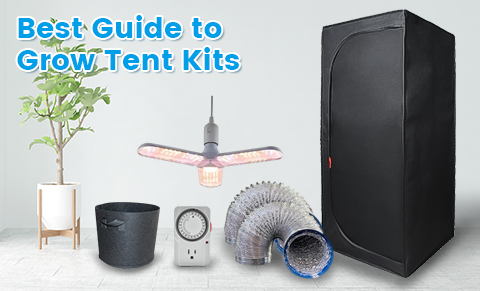 A Beginner's Guide to Grow Tent Kits