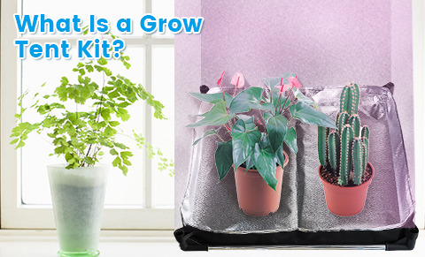 What Is a Grow Tent Kit?