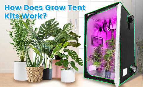 How Does Grow Tent Kits Work?