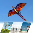Kite