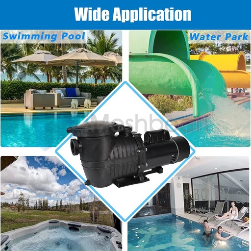 2 speed pool pump