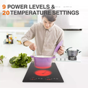 12" Electric Ceramic Cooktop Built-in Radiant Stove Top 2 Burners 110V