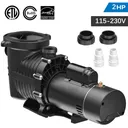 2HP Dual Voltage Inground Swimming Pool Pump Motor Strainer Hayward Replacement